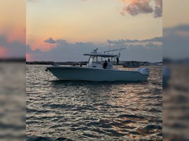 A Slice of Life Fishing