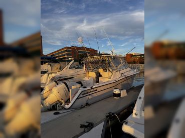 FishThePotomac - Grady White 330 Express thumbnail