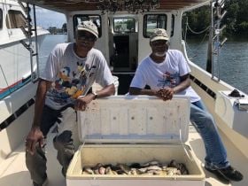 Best Friends...Lot's of Spot Fish