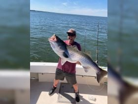 Monster Rockfish
