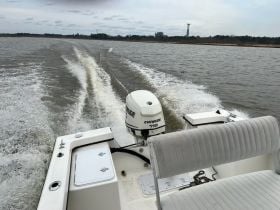 Evinrude 115 HP 