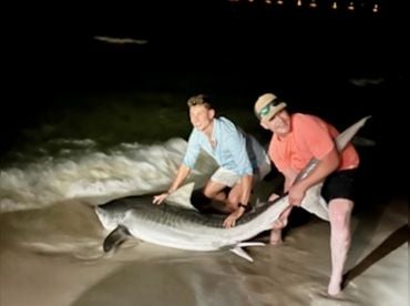 Drop Zone Navarre Beach Shark Trip thumbnail