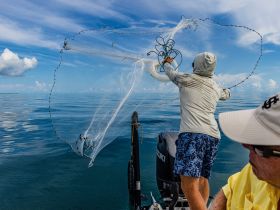 Making bait