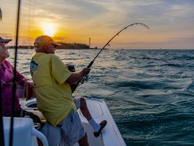 1000th Tarpon fishing with Spindrift