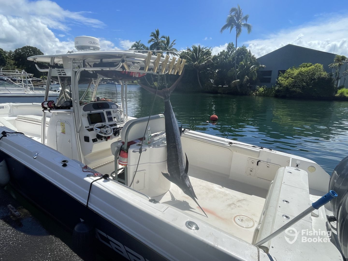 Boat Image
