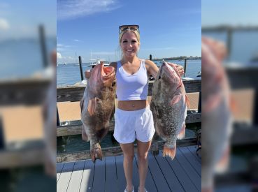 Fish Ami – Sarasota thumbnail