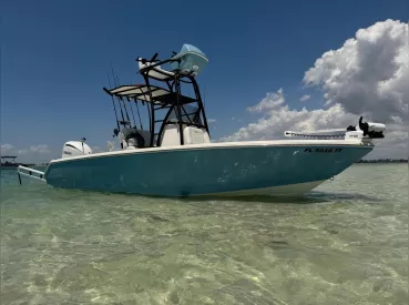 Fish Ami – Sarasota – FISH GUARANTEED!! thumbnail