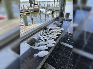 South Marsh Charters