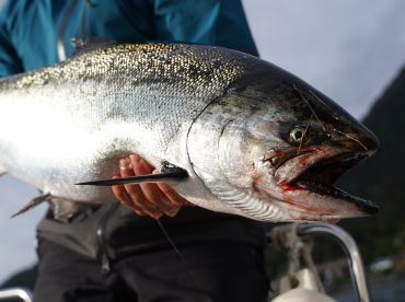 Sitka Expeditions – Premiere Salmon Fishing
