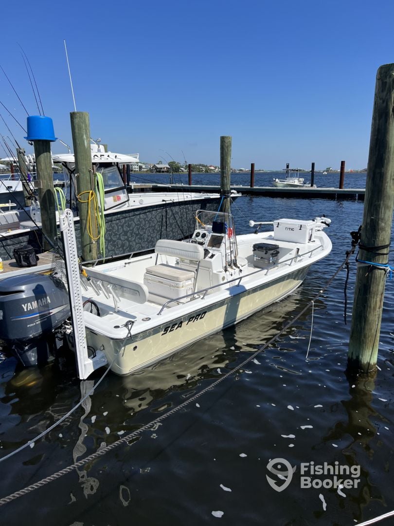 Boat Image