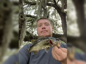 Come bass fishing 