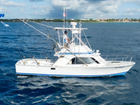Charter Image