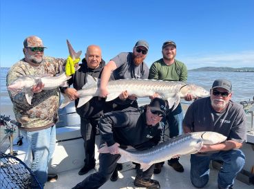 Feeding Frenzy Sportfishing