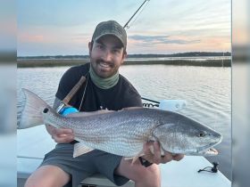 Redfish on the Fly