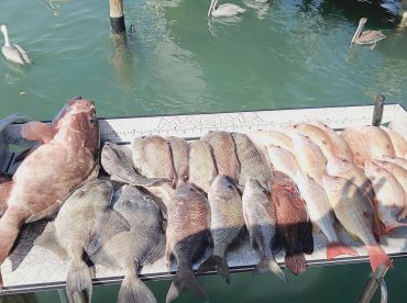 Skinnin' Fins Charters thumbnail