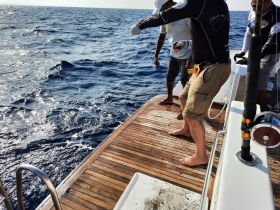 Charter Image