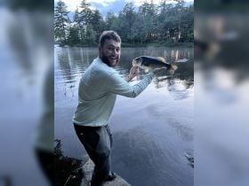 Adirondack Tight Lines