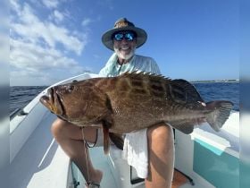 Nice grouper