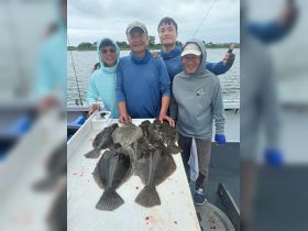 Inshore fluke