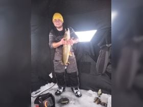 MN Prior lake 33,5" Northern pike 