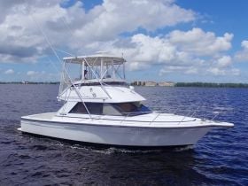 Charter Image