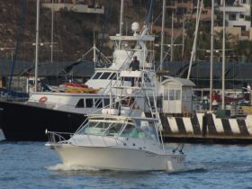Charter Image