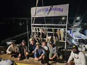 Charter Image