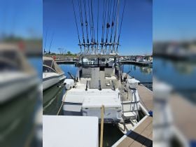 Charter Image