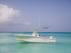 Charter Image