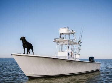 Fish Hatteras thumbnail