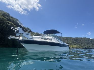 Cruise And Fish Rotorua