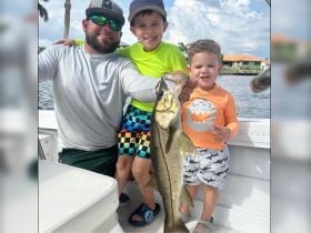 Charter Image