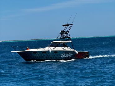 Triple Tail Sport Fishing Charter