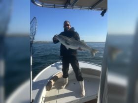 Just One Bite Charters