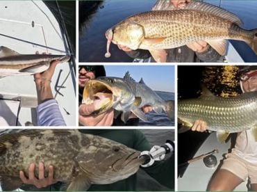 Andy’s Fishing Charters thumbnail