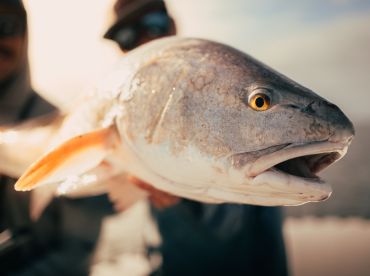 Approach Angling Company