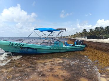Paseos Albatros Tulum