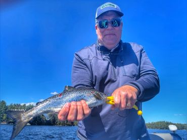 Twin Maple Outdoors – Ice Out Salmon A+ BBB