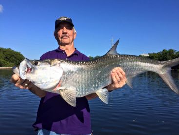 Backwater II Tarpon Fishing PR thumbnail