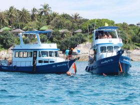 Charter Image