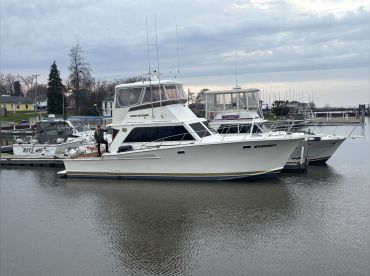 Synergy Sportfishing thumbnail