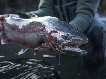 Outgoing Angling – Cooper Landing