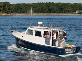 Charter Image