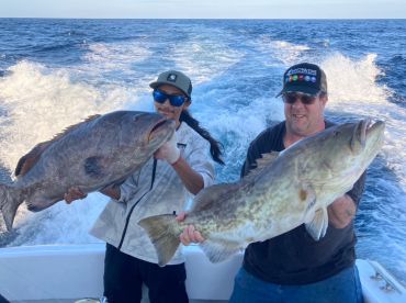 Chipper’s Clipper thumbnail