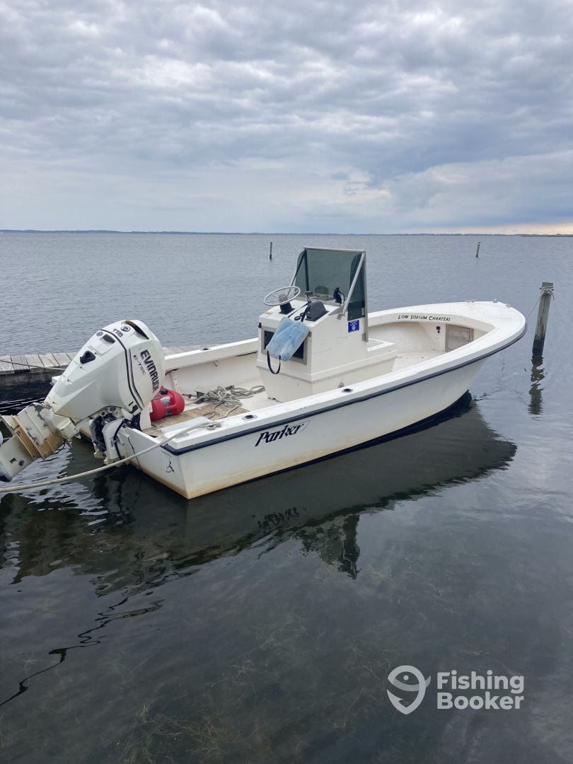 Boat Image
