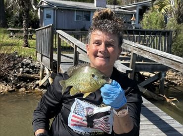 BK’s Guiding Service – Clover