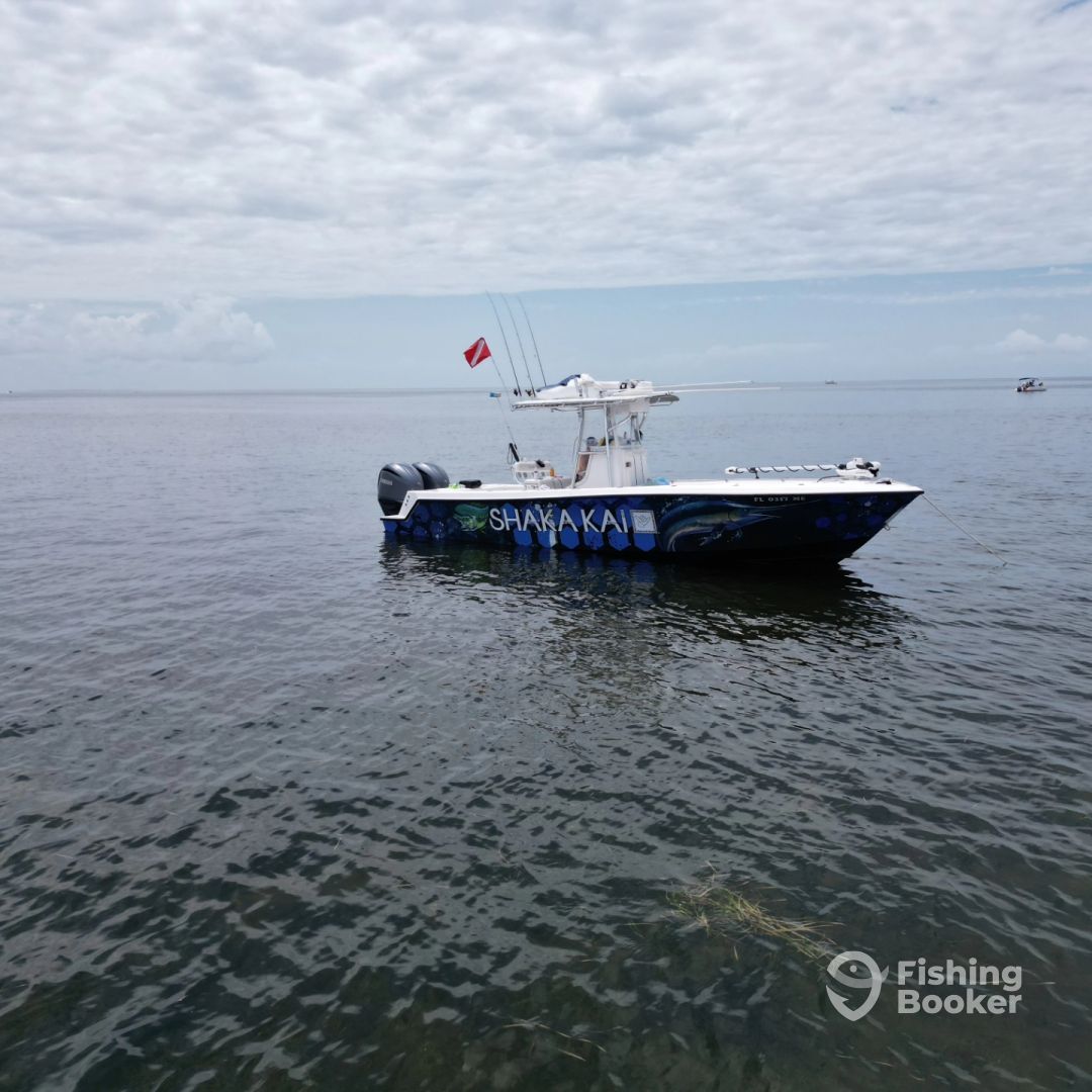 Boat Image