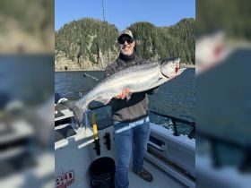 Nice Resurrection Bay King