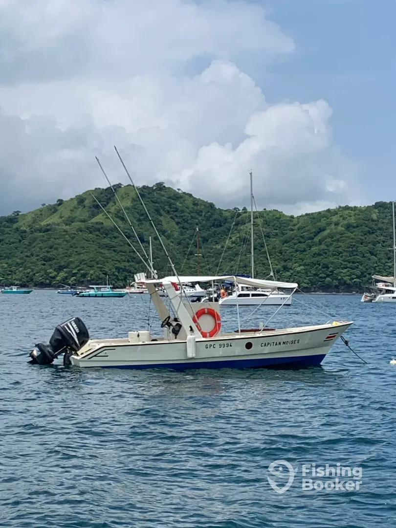 Boat Image