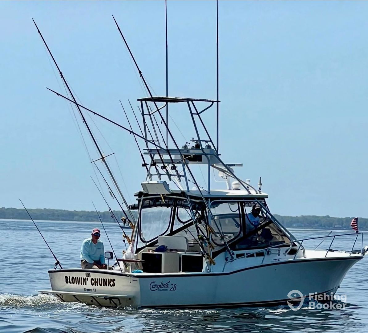 Boat Image